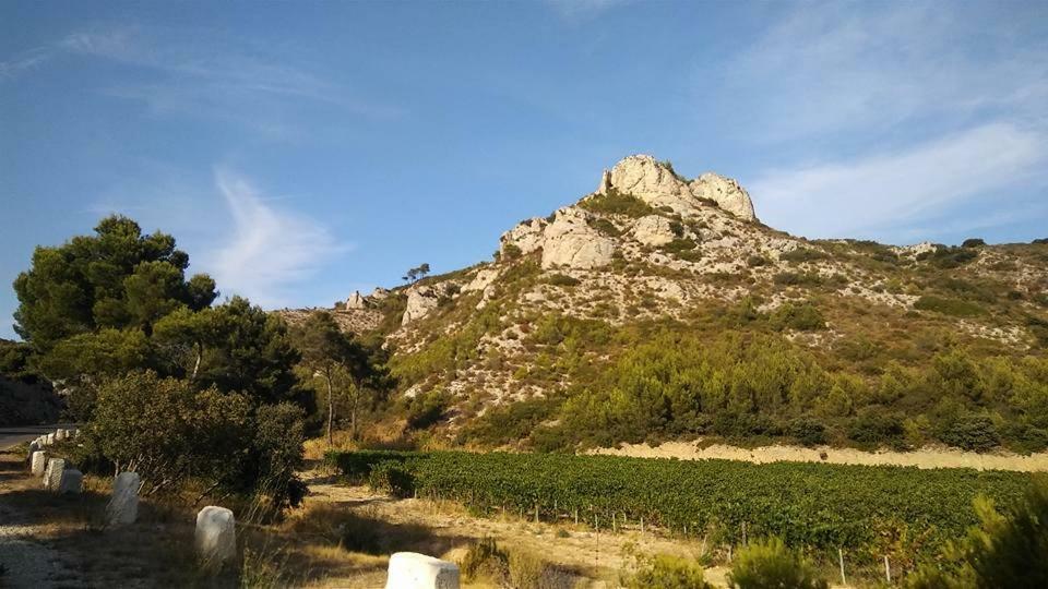 شقة Le Lapin Blanc Saint-Rémy-de-Provence المظهر الخارجي الصورة